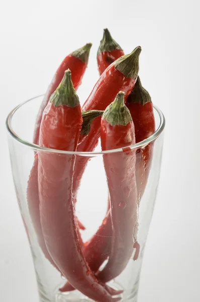 Röd chilipeppar i ett glas — Stockfoto