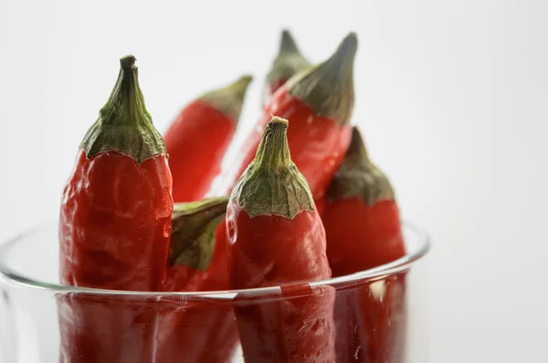 Red chili pepper in a glass — Stock Photo, Image