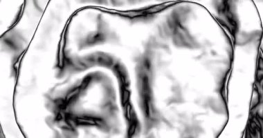 Soyut siyah beyaz dalgalı desen