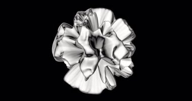 abstract black and white shape, close up