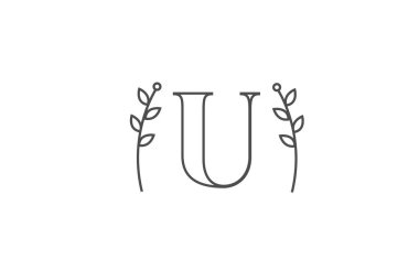 U alfabesi harfi logo simgesinin satır tasarımı. Çiçek desenli şirket tipografisi
