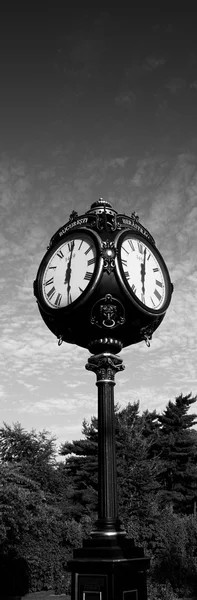 Relógio parque vintage — Fotografia de Stock