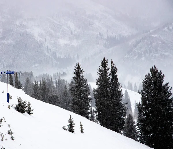 Ominous ski run with sign and super steep slope.