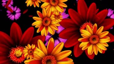 Renkli çiçekler büyüyor 