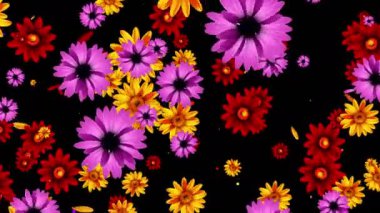 renkli çiçek arka plan