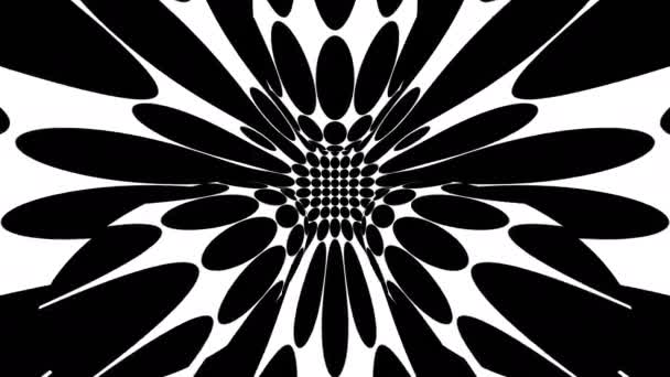 Black and white kaleidoscopic loop — Stock Video