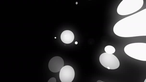 Schwarze und weiße Punkte fließen chaotisch — Stockvideo