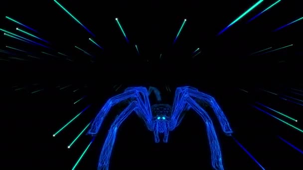 araignées rampant sur écran noir 