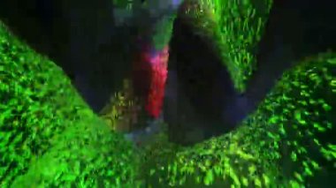 Cosmo Tüneli dijital görsel animasyonu. Başlıklarda, sunumlarda veya VJ kullanımında kullanmak için ideal döngüsüz renksiz geometrik patlayıcı etkisi görüntüsü. 