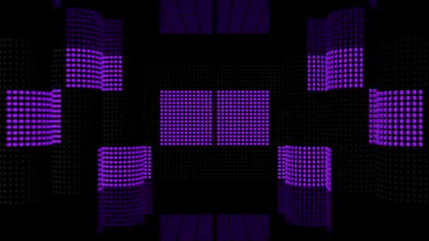 深紫色领导回到舞台 — 图库视频影像