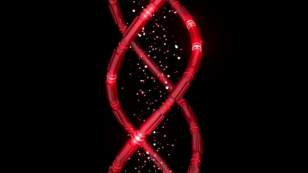 Roterende ruimte Dna — Stockvideo