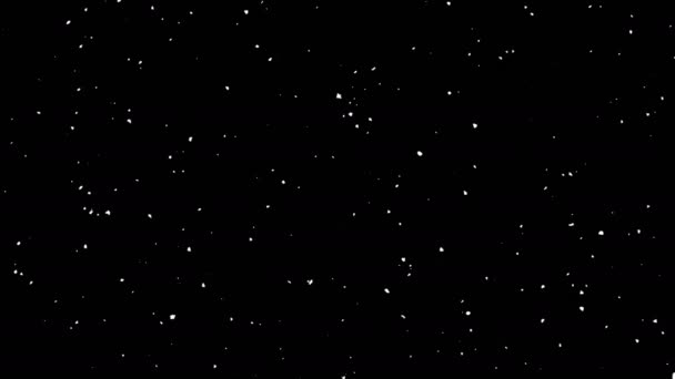 Snow falling against black background — Stock Video