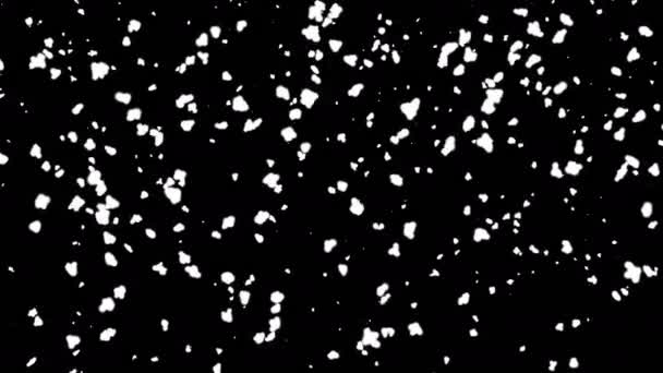 Снег падает на черный фон — стоковое видео