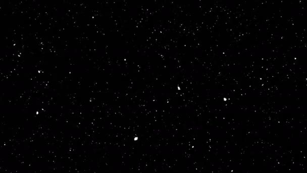 Сніг падає на чорний фон — стокове відео
