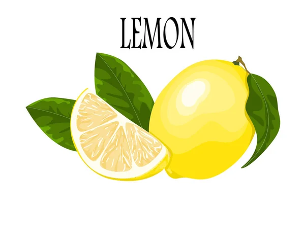Plátky Citronu Listy Izolovat Adn Text Bílém Pozadí Vektorové Ilustrace — Stockový vektor