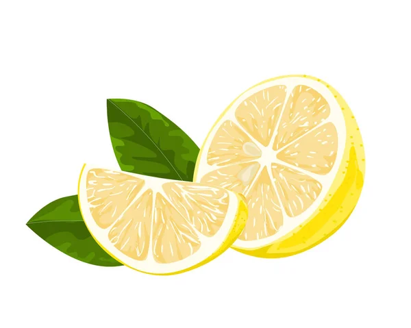 Citron Tranché Avec Des Feuilles Isolées Sur Fond Blanc Illustration — Image vectorielle