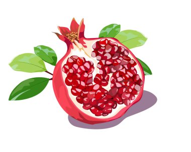 Gerçekçi vektör, Pomegramat meyvesi beyaz arkaplandaki yapraklarla kesme kısmını izole et, el çizimi vektör illüstrasyonu