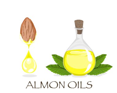 Badem tohumu ve cam şişeden yapraklı bir damla badem yağı izole ettim. Doğal malzeme vektör illüstrasyonunu kapat.  