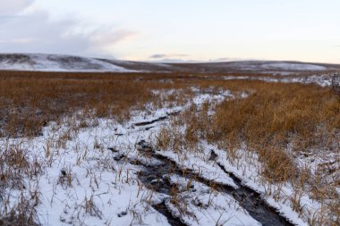 Kış zamanı kutup manzarası. Tundra 'da buzlu küçük bir nehir.