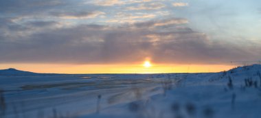 Kış zamanı kutup manzarası. Tundra 'da buzlu ve karlı otlar. Gün batımı.