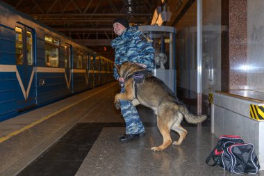 Eğitimli bir Alman çoban köpeği olan kadın polis memuru ya uyuşturucunun kokusunu alır ya da bagajdaki bombayı. Metro istasyonu..