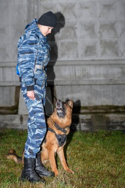 Eğitimli köpeği olan kadın polis memurları. Alman çoban köpeği..