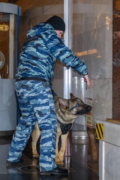 Vrouwelijke Politieagent Met Een Getrainde Duitse Herdershond Ruikt Drugs Bommen — Stockfoto