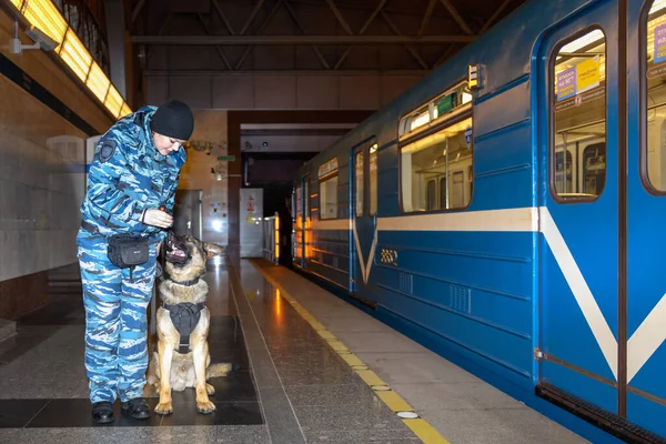 Vrouwelijke Politieagent Met Een Getrainde Duitse Herdershond Ruikt Drugs Bommen — Stockfoto