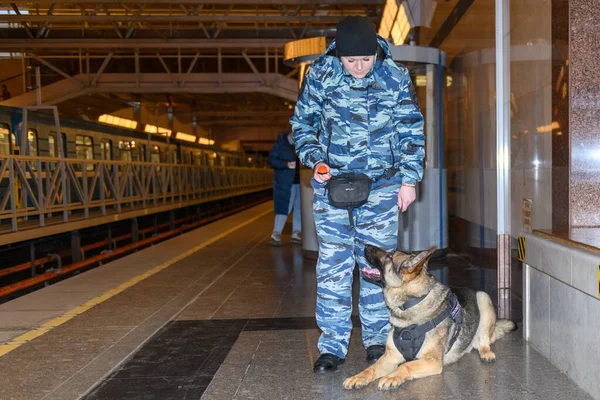 Naispoliisi Koulutetun Saksanpaimenkoiran Kanssa Haistaa Huumeet Tai Pommin Matkatavaroissa Metroasema — kuvapankkivalokuva