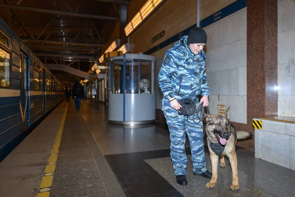Female police officer with a trained german shepherd dog sniffs out drugs or bomb in luggage. Subway station.