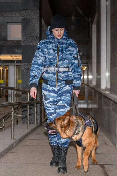 Female police officer with a trained dog sniffs out drugs or bomb in luggage. German shepherd police dog.