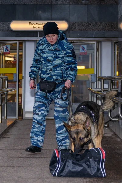 Une Policière Avec Chien Dressé Renifle Drogue Une Bombe Dans — Photo