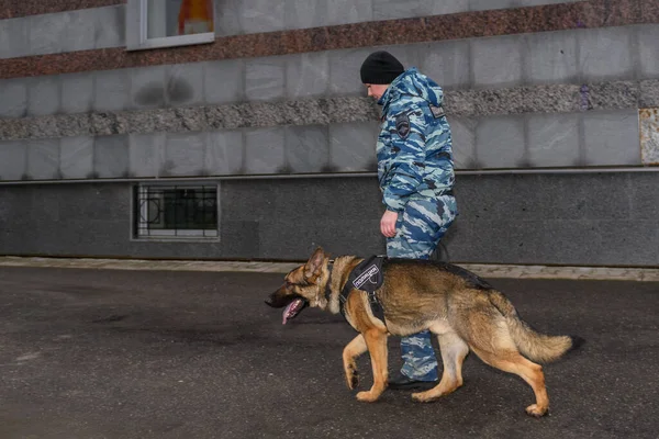 Female police officers with a trained dog. German shepherd police dog.