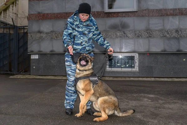 Vrouwelijke Agenten Met Een Getrainde Hond Duitse Herder Politiehond — Stockfoto