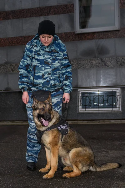 Vrouwelijke Agenten Met Een Getrainde Hond Duitse Herder Politiehond — Stockfoto