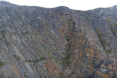Yaz mevsiminde kutup manzarası. Franz Jozef Adaları takımadaları. Flora Burnu, Gukera Adası. Rubini Kayası.