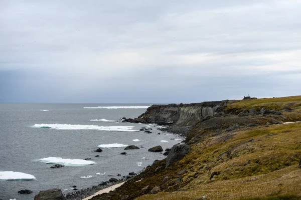 Arktiskt Landskap Sommaren Franz Jozef Land Skärgård Flora Cape Gukera — Stockfoto