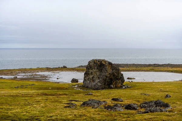 Arktiskt Landskap Sommaren Franz Jozef Land Skärgård Flora Cape Gukera — Stockfoto