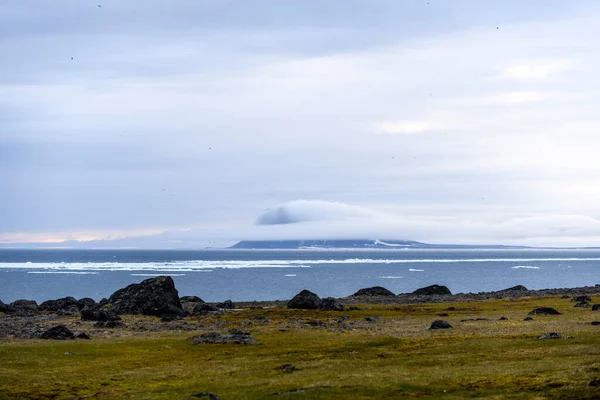 Paisagem Ártica Hora Verão Arquipélago Franz Jozef Land Flora Cape — Fotografia de Stock