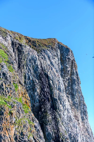 Paysage Arctique Été Franz Jozef Archipel Terrestre Cap Flora Île — Photo