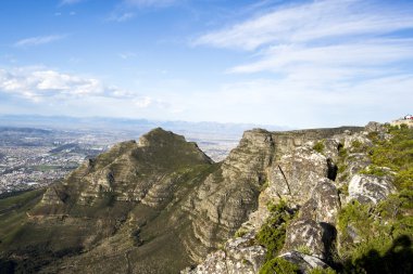 Table Mountain View