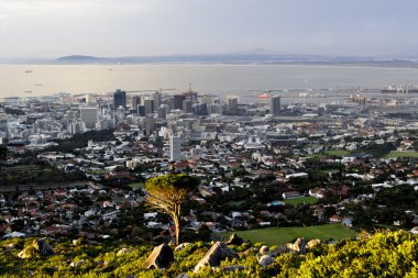 Capetown