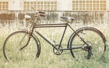 Vintage filtre ile Bahçe alanları, Vintage Bisiklet