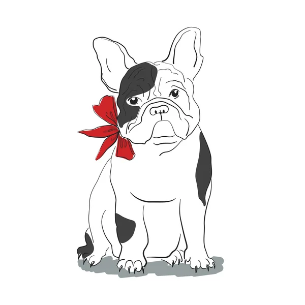 Francia bulldog, ül előtt fehér háttér — Stock Vector