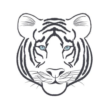 Beyaz Kaplan head - vektör iillustration