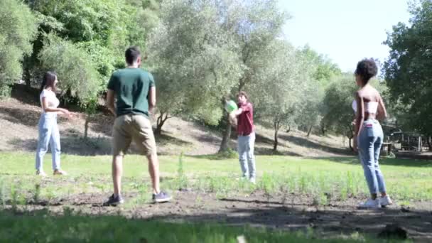Νέοι Παίζουν Την Μπάλα Χέρια Ένα Πάρκο Μια Ηλιόλουστη Μέρα — Αρχείο Βίντεο