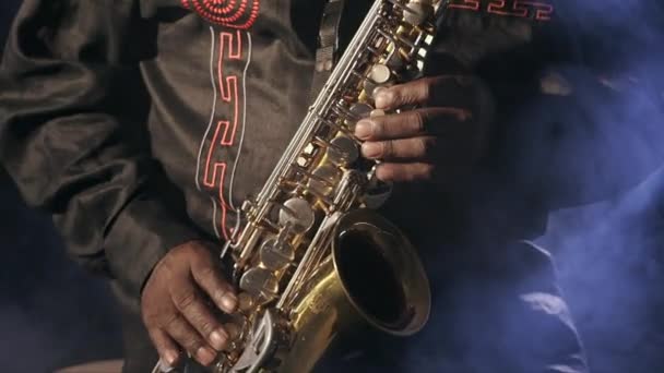 Een saxofonist. — Stockvideo