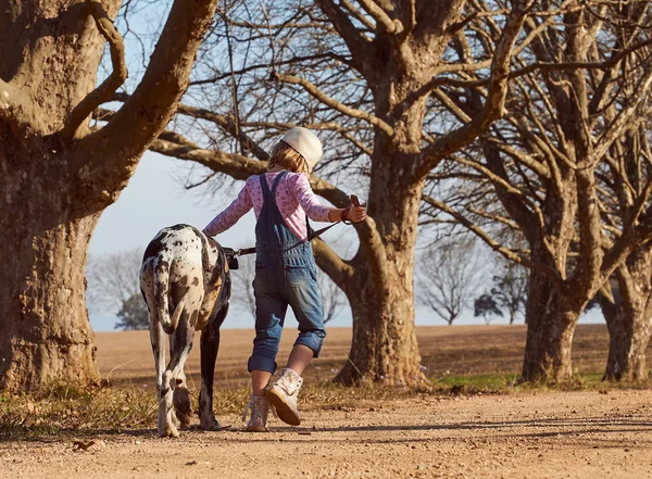 Flicka promenader med hund — Stockfoto