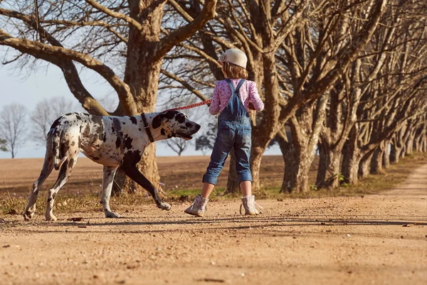 Meisje wandelen met hond — Stockfoto