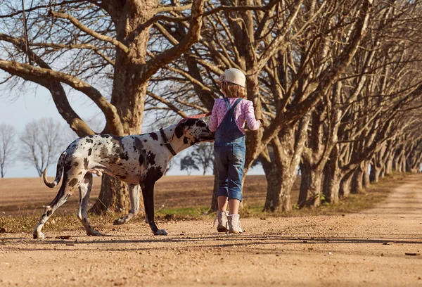 Chica caminando con perro — Foto de Stock